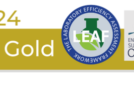 transparent gold leaf award