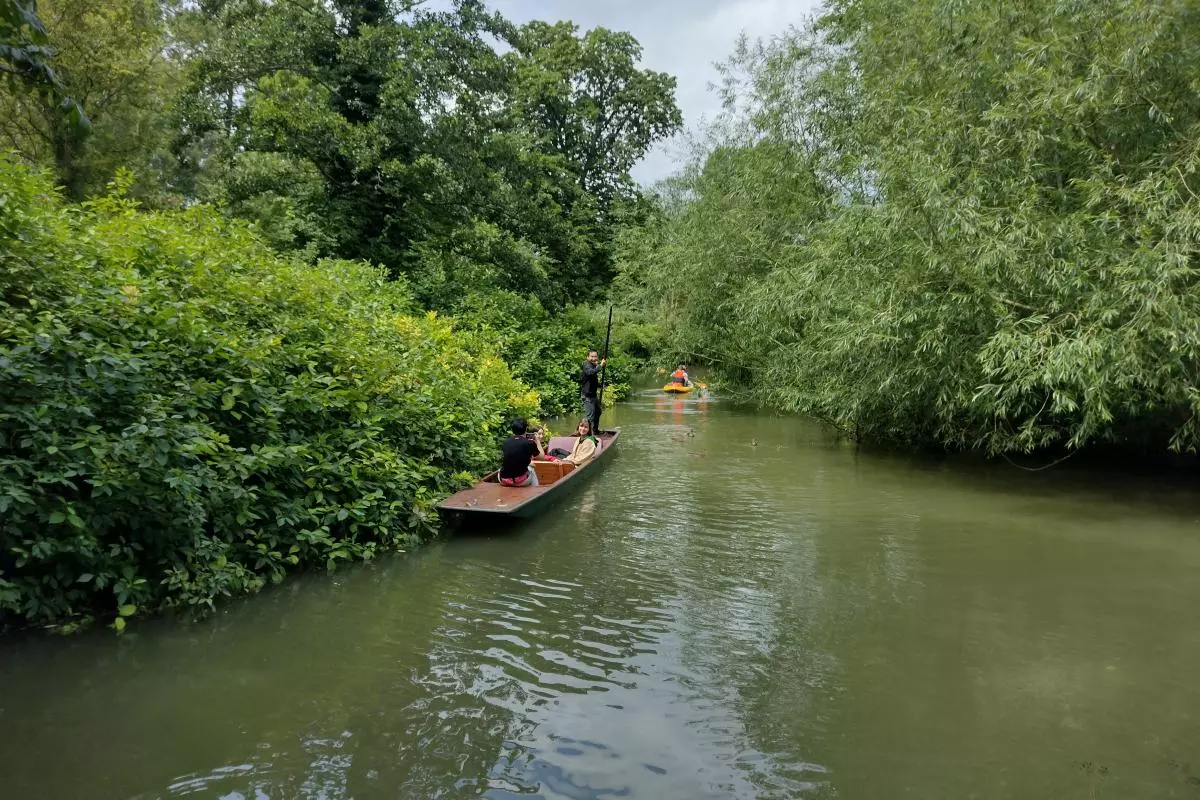 20240713 Punting